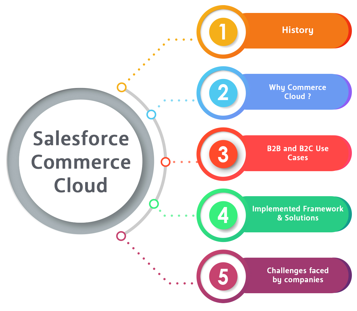 Salesforce Ecommerce Platform